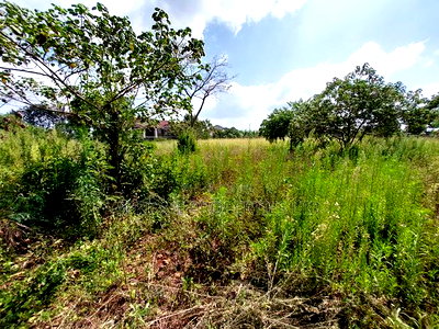 Old Runda 1/2 Plot For Sale - Image 4