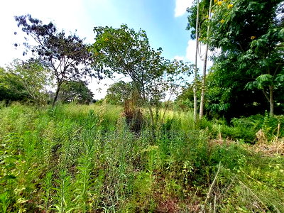 Old Runda 1/2 Plot For Sale - Image 2