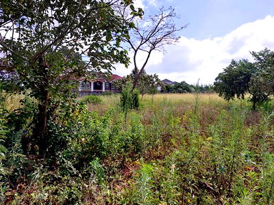 Old Runda 1/2 Plot For Sale - Image 3