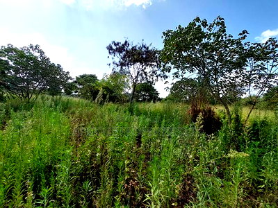 Old Runda 1/2 Plot For Sale - Image 1