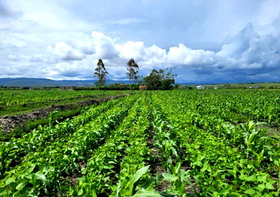 1 Acre Land in Mavoko for KSh 2.3M