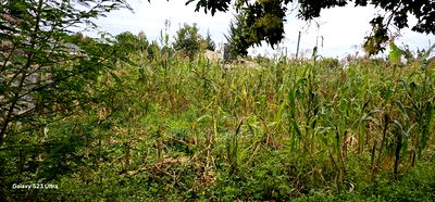 40 Acres Primeland for Sake in Merewet Eldoret - Image 5