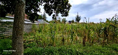 40 Acres Primeland for Sake in Merewet Eldoret - Image 4