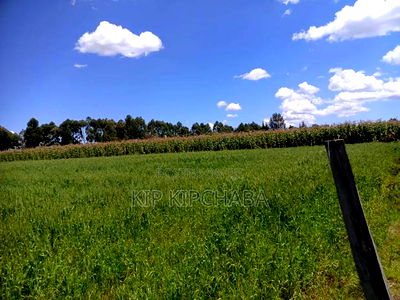 40 Acres Primeland for Sake in Merewet Eldoret - Image 3