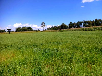 40 Acres Primeland for Sake in Merewet Eldoret - Image 1