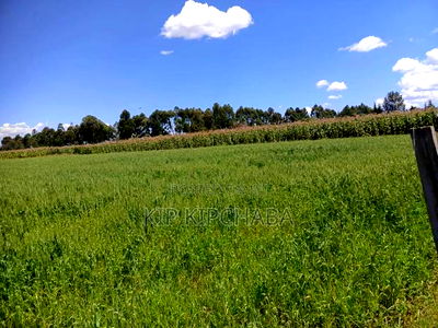 40 Acres Primeland for Sake in Merewet Eldoret - Image 2