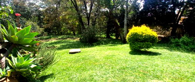 1.1 Acre Lavington Land Deal