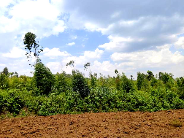 Land on Sale in Migori