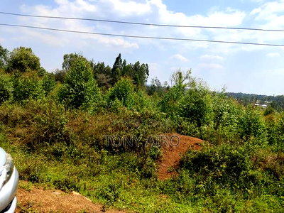 Land on Sale in Migori - Image 6