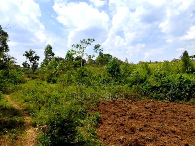 Land on Sale in Migori