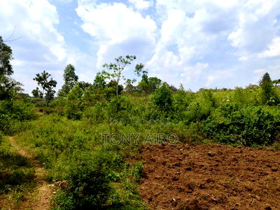 Land on Sale in Migori - Image 1
