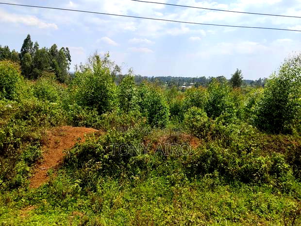 Land on Sale in Migori