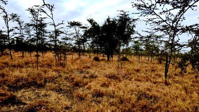 10 Acres Touching Imaroro Konza Road at 850,000ksh Per Acre - Image 6