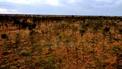 10 Acres Touching Imaroro Konza Road at 850,000ksh Per Acre - Image 2