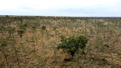 10 Acres Touching Imaroro Konza Road at 850,000ksh Per Acre - Image 7