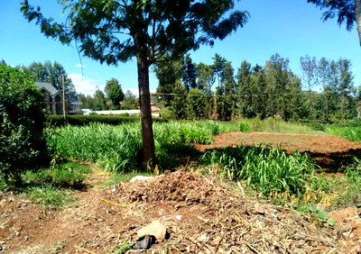 Half Acre in Karen at KSh 37M