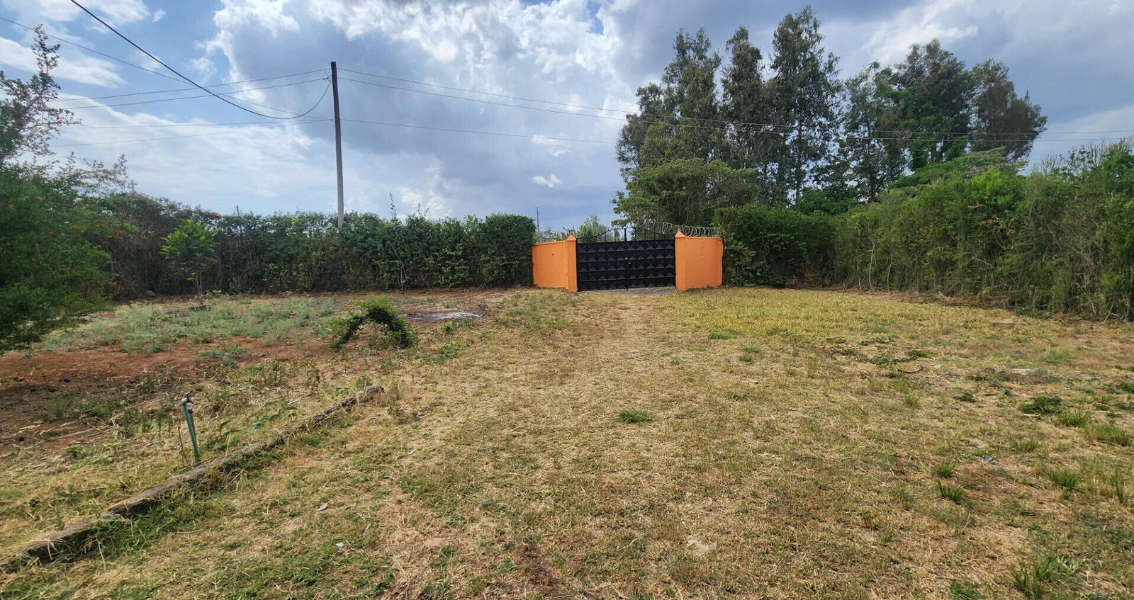 Quarter Acre 3BR Home with Garden
