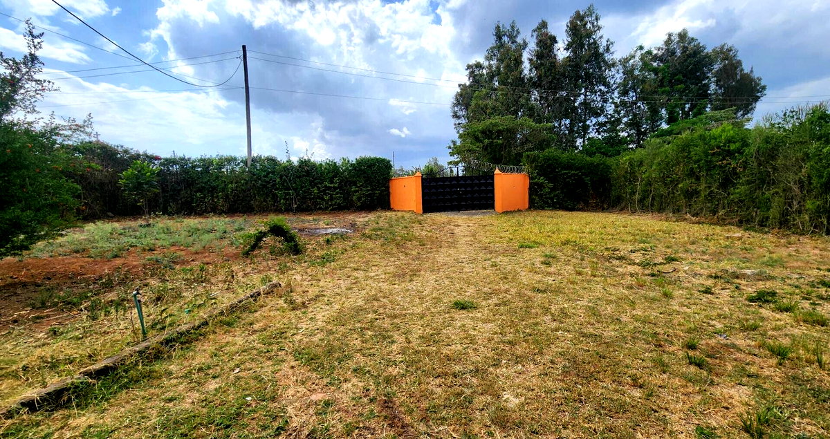 Quarter Acre 3BR Home with Garden