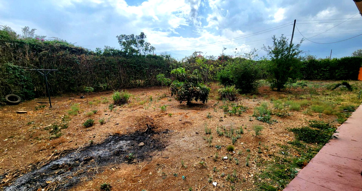Quarter Acre 3BR Home with Garden