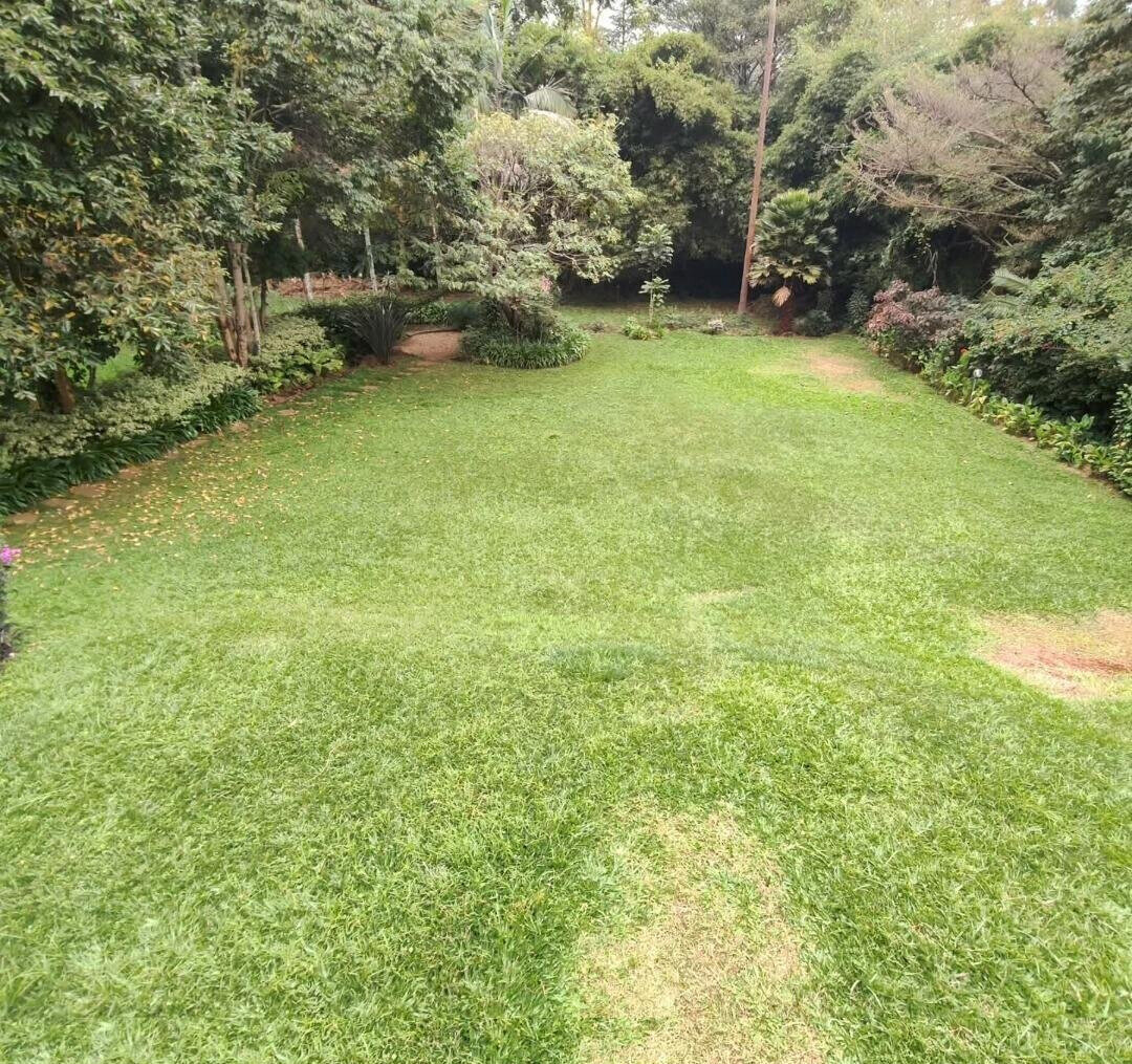 5-Bed Townhouse with Mature Garden & Two Kitchens - Nyari