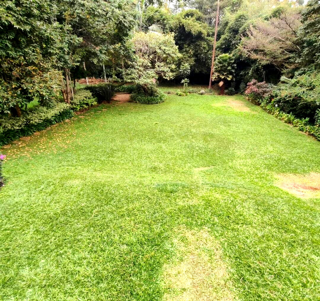 5-Bed Townhouse with Mature Garden & Two Kitchens - Nyari