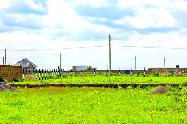 Plots Touching the Road