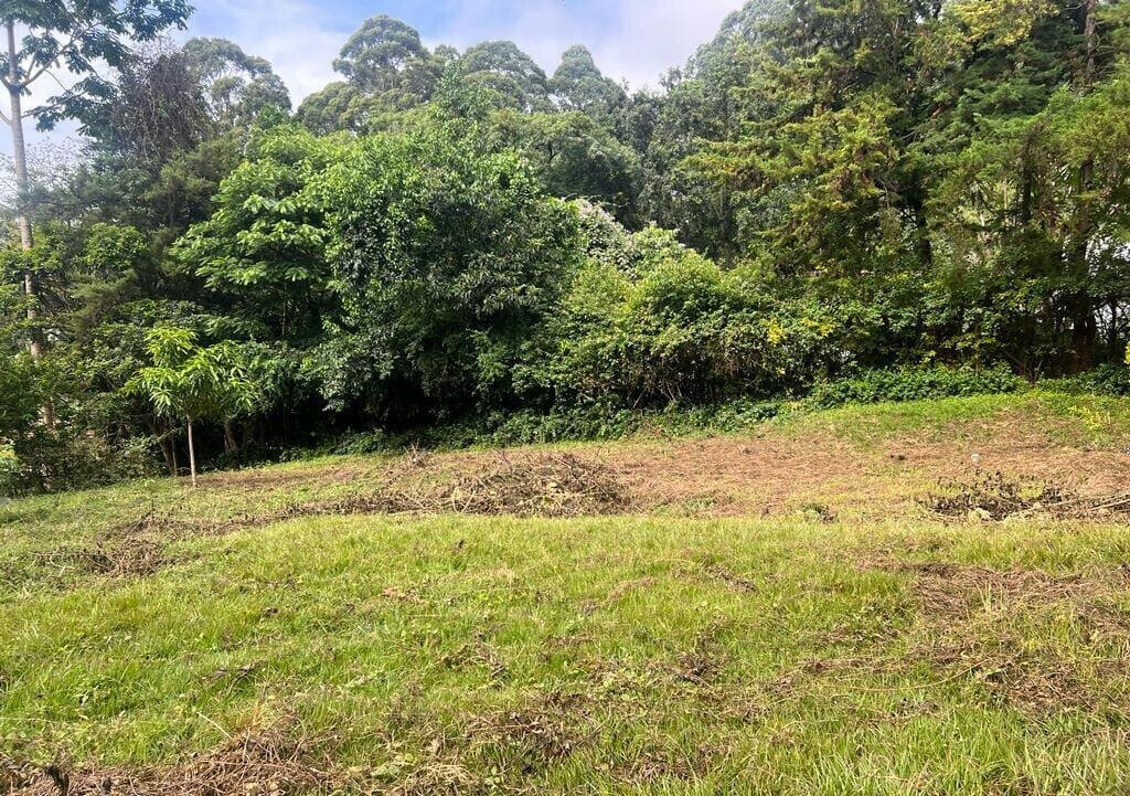 1.2-Acre Runda Plot with Garden
