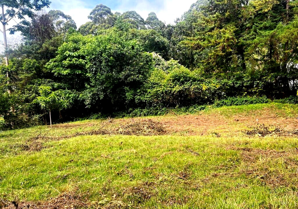 1.2-Acre Runda Plot with Garden