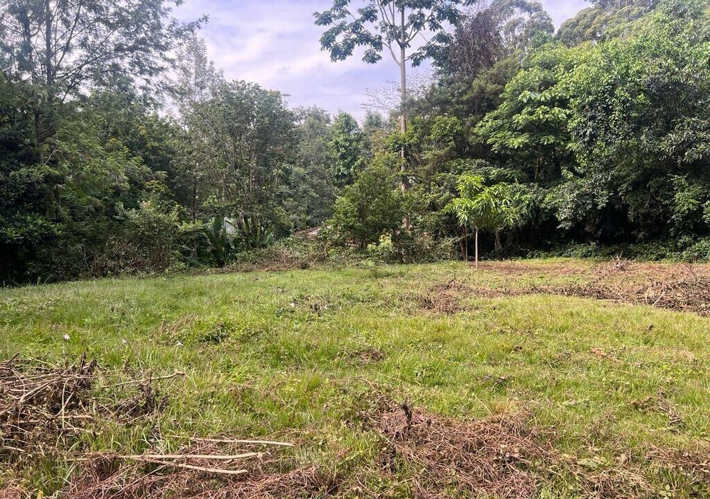 1.2-Acre Runda Plot with Garden