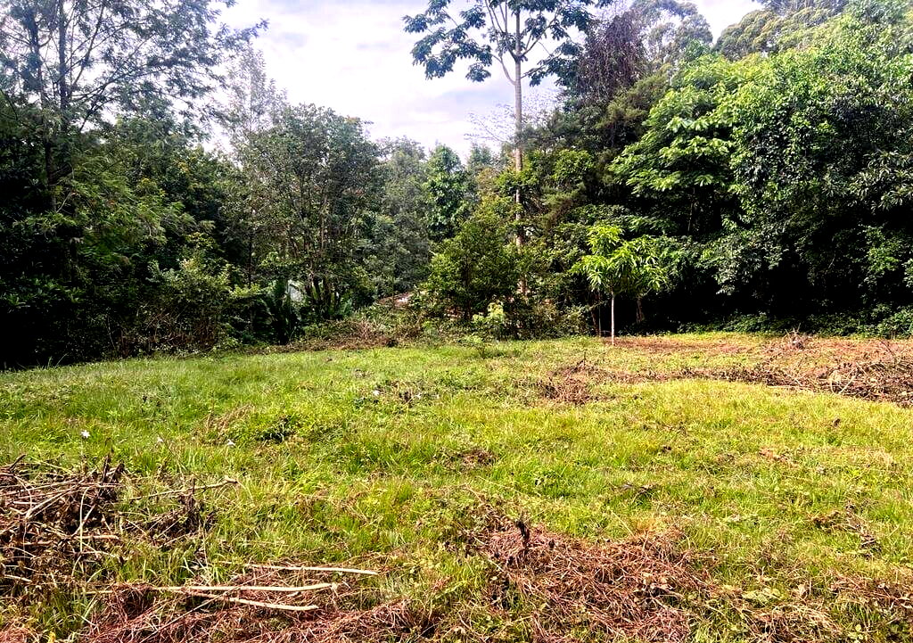 1.2-Acre Runda Plot with Garden