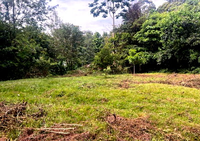 1.2-Acre Runda Plot with Garden