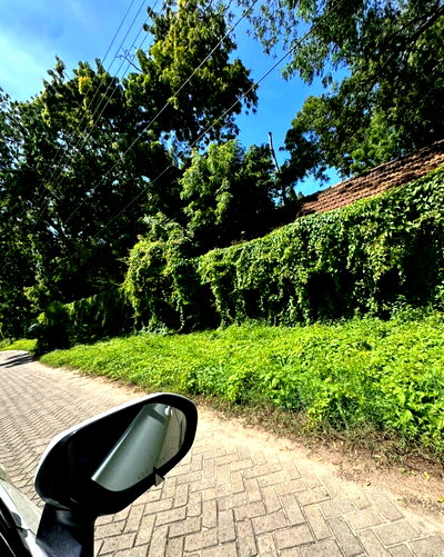 5-Acre Garden Plot in Nyali Mkomani