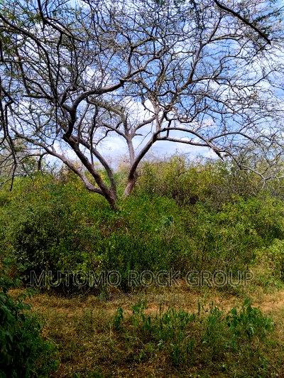 3080acres For Sale - Image 4