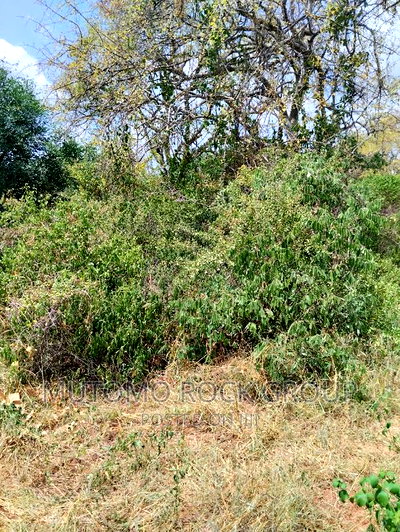 3080acres For Sale - Image 2