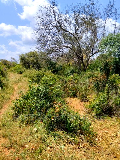 3080acres For Sale - Image 1