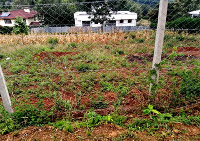 KSh 20M Kerarapon Plot