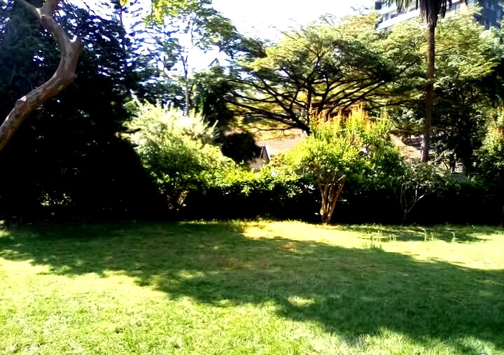 KSh 250M Brookside Plot