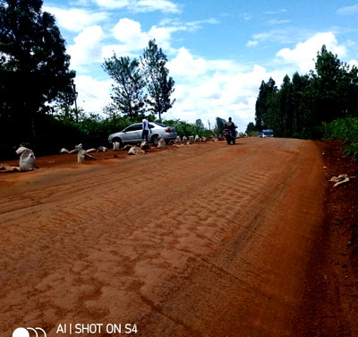50x100 Plot with Garden in Thika