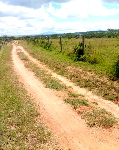 770-Acre Lukenya Property with Garden