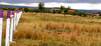 Longonot View Gives Perfect Views - Image 4