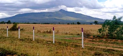 Longonot View Gives Perfect Views - Image 3