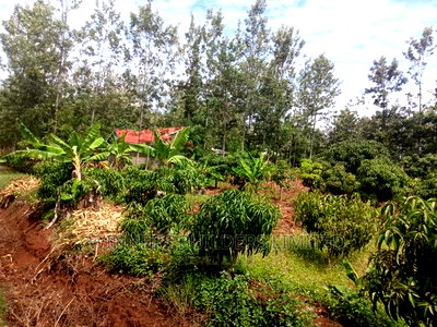 3bdrm Bungalow in Maguguni, Nairobi Central for sale - Image 11