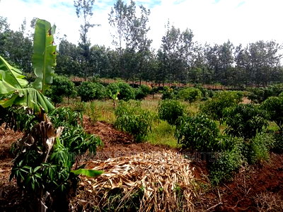 3bdrm Bungalow in Maguguni, Nairobi Central for sale - Image 12