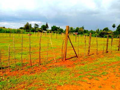 1/4 and 1/8acre Plot for Sale in Mwiruti Yamumbi Near Kipken - Image 2