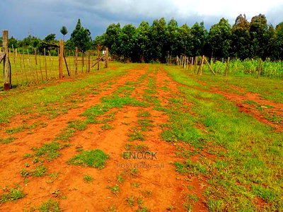 1/4 and 1/8acre Plot for Sale in Mwiruti Yamumbi Near Kipken - Image 1
