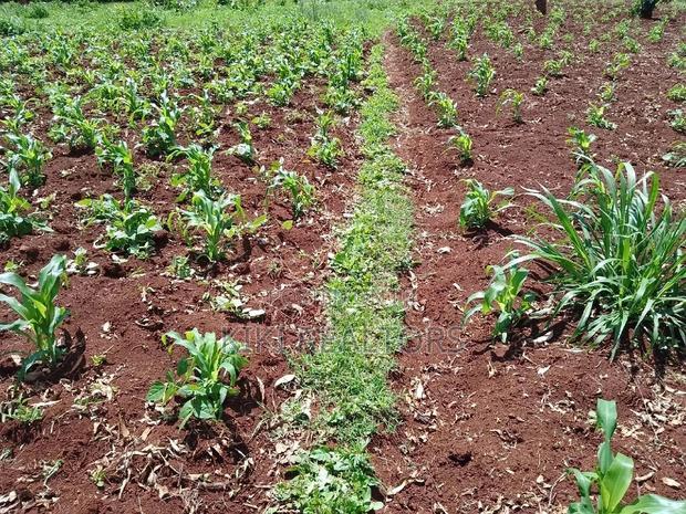 Plots for Sale at Sigona Kerwa