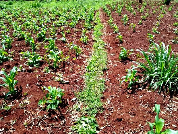 Plots for Sale at Sigona Kerwa