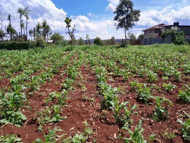 Plots for Sale at Sigona Kerwa