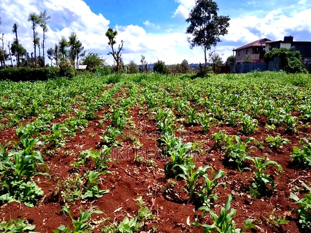 Plots for Sale at Sigona Kerwa