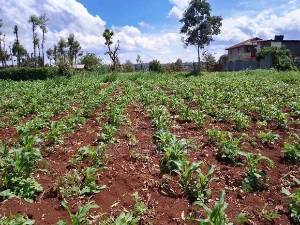 Plots for Sale at Sigona Kerwa